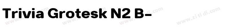 Trivia Grotesk N2 B字体转换